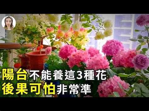 陽台種玫瑰風水 五鬼方